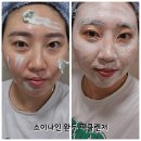 약알칼리성클렌징폼 지성피부를 위한 슈렉 팩클렌저 소이나인