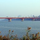 한강수변공원 Daum카페