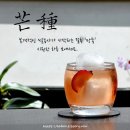 이미지 이미지