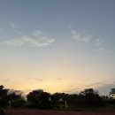 동화울수변공원~대전세관 | 대전 핑크뮬리 핫플! 현대백화점 옆 동화울수변공원 산책 후기