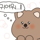 메이플커피라운지 이미지