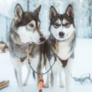 Time Terminal Hotel 이미지