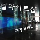 딜라이트비전 이미지