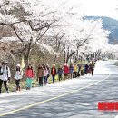 남도(80) 이미지