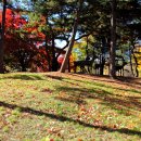 우제류를위하여 이미지