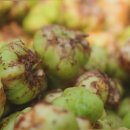 충영농장 이미지