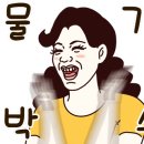 아트팡쇼