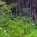 학림축산 이미지