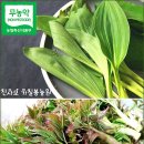명이나물판매업