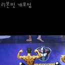 리본핏 이미지