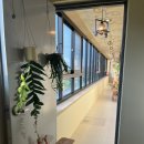 애월화룸 이미지