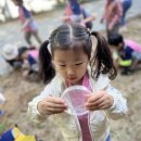 사직공원 유아숲 네이버블로그