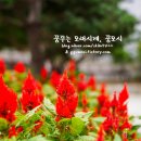 돈가스온기 이미지