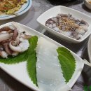 군산실내마차 이미지