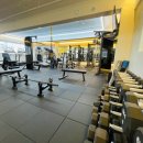 랩 지피티짐 이미지