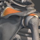 금빛태권도장 이미지