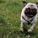 햇빛동물병원 이미지