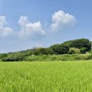 더그랑리빙 이미지