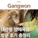 세라목장 네이버블로그