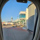 S017 | 티웨이항공 기내식 생각보다 맛있어요(가격,주문방법,메뉴 등)