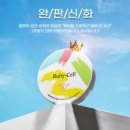 루비셀 - 남구 | 루비셀