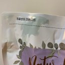 펫츠데이