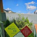 수학정원