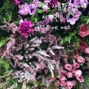 미술개인교습