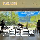 청풍호 뷰가 예쁜 제천 감성 카페, 콘크리트월 내돈내산 후기