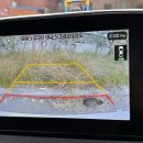 금손줄까 똥손줄까 | 웨딩촬영을 곁들인ㅣNov. 17 ~ Nov. 23