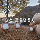 영천 &#39;곰들덤공원&#39; 대구 근교 취사가능 노지캠핑 | 단풍과 함께해서 더 좋았던