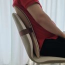 핏들캠핑장 | 체어핏 이노브엠 체어핏 허리마사지기 사용후기