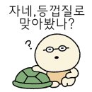 예의 이미지