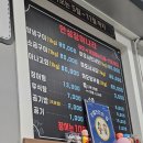 [고흥 녹동] 장어 먹다 배 터질 뻔한 썰, '안성장어나라' 솔직 후기