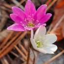 박영선농장 이미지