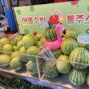 동문정육점 이미지
