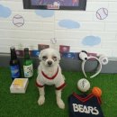 덕분이야모든개 이미지