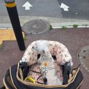엄지고시원 | 디스크수술후 2달째