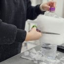 윈애견미용학원 이미지