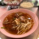 날) 카오산로드 맥도날드동상, 반타이맛사지, 머리땋기, 나이쏘이갈비국수, MBK쇼핑센터, 본촌치킨 배달.