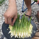 백운일출캠핑장 이미지