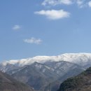 숨하우스 | [ 단양 숙소 ] 실바니안 하늘 지붕 같았던 에어비앤비 우드 감성 숙소 숨하우스 아기랑 방문한 솔직후기