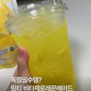 지에스25(GS25) 수유제로점 | 폭염필수템? GS25편의점 델라페 링티 비타제로 레몬에이드 가격 맛 후기