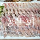 꽁똔회