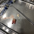 박경준치과의원 이미지