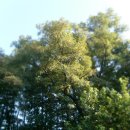 두리모텔 이미지