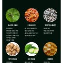 (주)플러스랩에스 이미지