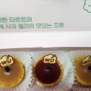 예당타르트