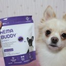 키워주시개 | 강아지 영양간식, 헤마버디로 반려견 건강을 챙겨요 :)