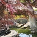 중앙드림치과의원 이미지